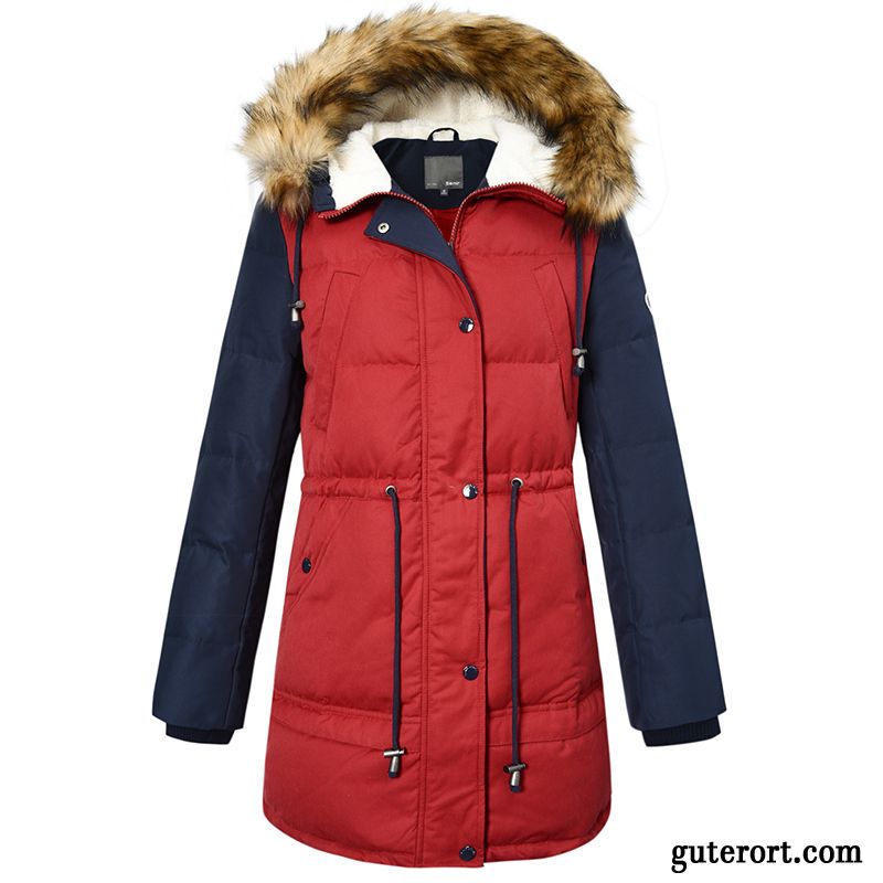 Damen Winter Steppjacke Farbenreich, Marken Daunenjacken Damen